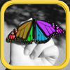 Color Editor - Photo Recolor & Background Eraser